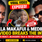 Fella Makafui and Medikal Viral Video: 10 Explosive Reactions Trending Online